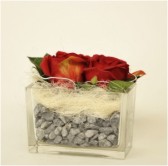 Glazen accubak met rode rozen.